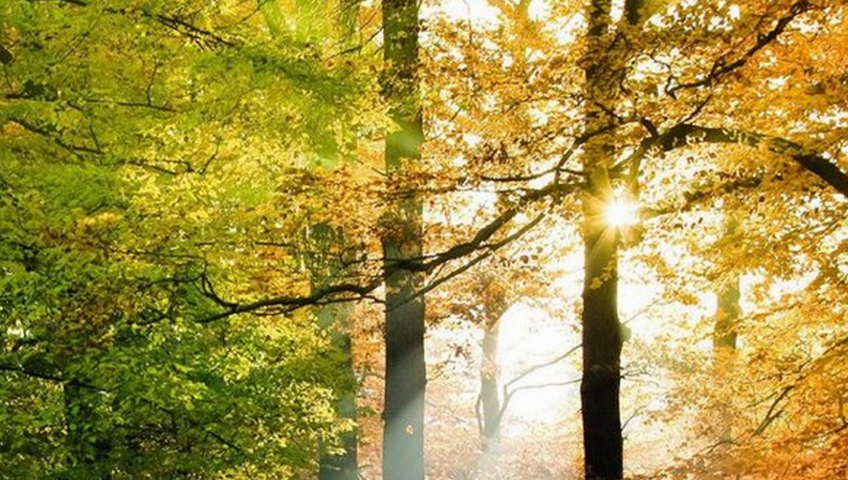Herbst l2 einf