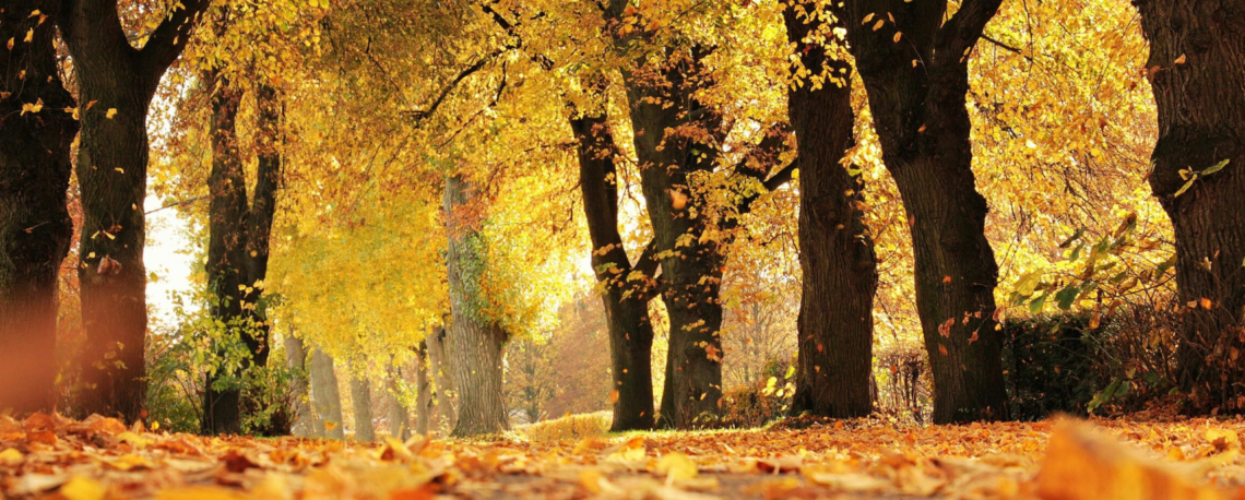 Herbst l einf